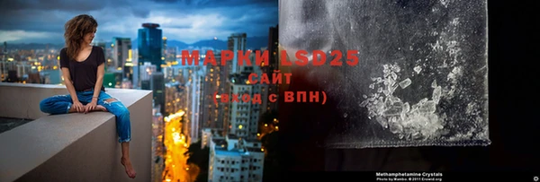 спиды Вяземский