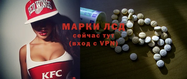 спиды Вяземский