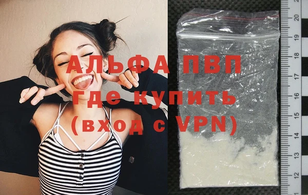спиды Вяземский