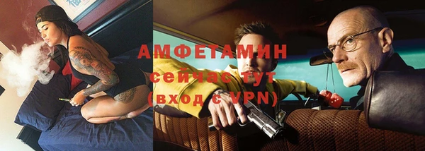 спиды Вяземский