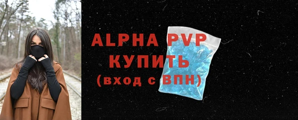спиды Вяземский