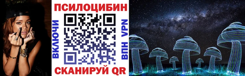 Купить  Бодайбо  Галлюциногенные грибы Psilocybine cubensis 